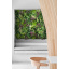 Декоративное зеленое покрытие Engard "Gaya" комплект 3 шт 50х50 см (GCK Set-2) Ужгород