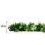 Декоративное зеленое покрытие Engard "Патио микс" 50х50 см (GCK-18) Миргород