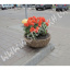 Вазон садовый уличный Чаша бетонный Галька коричневая Киев