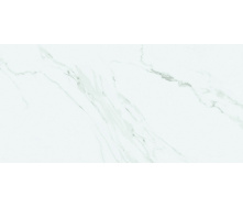 Плитка Stevol Carrara Gris матова 600x1200x11 мм