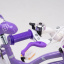 Велосипед детский BAIDONG QDH0729031 14" Фиолетовый (2000989566847) Тернопіль