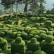 Шедевры садово-паркового искусства: Сады Маркессака - безумное стадо самшитовых «барашков» ФОТО