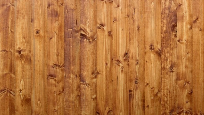 Свойства и качество древесины