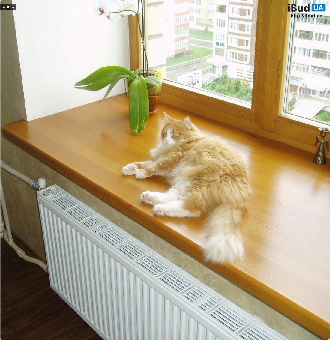 Подоконник золотой дуб