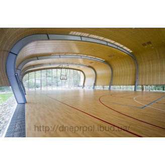 Спортивний лінолеум Taraflex Sport B для залів