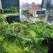 Отель-сад Parkroyal в Сингапуре - превращение мегаполиса из каменных джунглей в огромный сад ФОТО