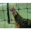 Сетка для ограждения животных и птиц Tenax Авиари 16x19 мм 1x100 мм черная Киев