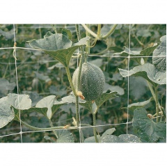 Сетка для поддержки растений Tenax Ортинет 150x170 мм 1,7x10 м белая Тернополь