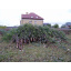 Расчистка участка от деревьев и кустов Борисполь