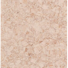 Лінолеум TARKETT iQ MEGALIT 3390 504 2*23 м коричневий