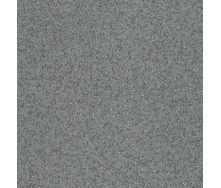 Линолеум TARKETT PRISMA Stella 8 2*23 м серый