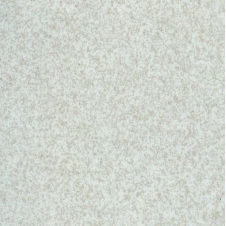 Лінолеум TARKETT PRISMA Stella 6 2*23 м білий