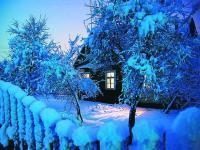 Народний синоптик спростував прогнози про те, що Україну чекають небувалі холоди, але зима буде сніжна