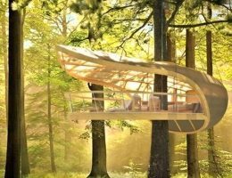 Будинок на дереві, який не шкодить дереву, і не обмежує його зріст - красиво і екологічно ФОТО