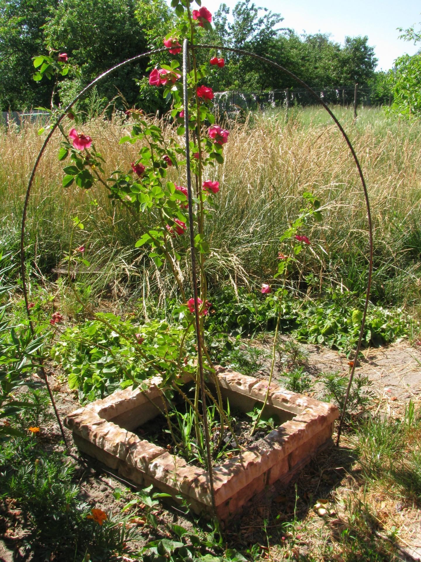 Квіткарка з бетону Роза