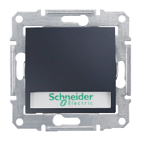 Выключатель кнопочный Schneider Electric Sedna SDN1600370 с надписью и подсветкой графит Киев
