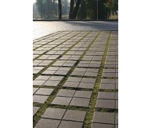 Тротуарная плитка Золотой Мандарин Эко 200х200х80 мм серая