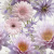 Декор Opoczno Chinese asters inserto flower 594х600 мм
