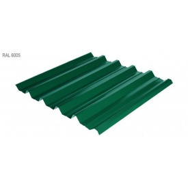Профнастил Rauni HC-44 1055x0,45 мм Union Steel (Корея) RAL 6005