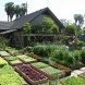 Прийшла спека: Як правильно поливати рослини на городі