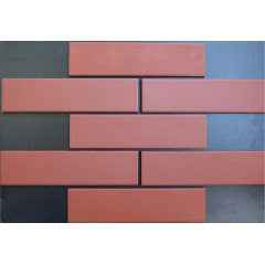 Фасадна плитка клінкер Paradyz NATURAL ROSA 24,5x6,6 см Хмельницький