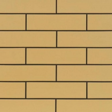 Фасадна плитка Cerrad гладка 245х65х6,5 мм piaskowe