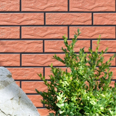 Фасадная плитка Cerrad Rot структурная 245х65х6,5 мм Киев