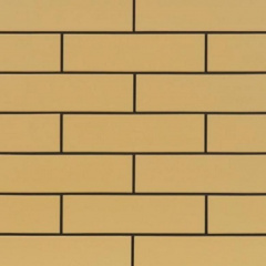 Фасадная плитка Cerrad гладкая 245х65х6,5 мм piaskowe Черкассы