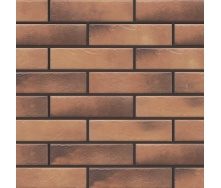 Фасадна плитка Cerrad Retro brick структурна 245х65х8 мм curry