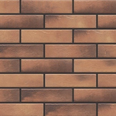 Фасадная плитка Cerrad Retro brick структурная 245х65х8 мм curry Тернополь