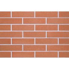Фото - Цегла облицювальна ECOBRICK гладкий брусничний 250х120х65 мм Цегла облицювальна ECOBRICK гладкий брусничний 250х120х65 мм