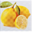 Плитка декоративная АТЕМ Orly Lemon W 200x200 мм Винница