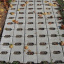 Тротуарна плитка Золотий Мандарин Подвійне Т 200х170х100 мм сірий Херсон