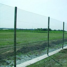 Сітка для огорожі Tenax Ranch 1 27x42 мм 1,5x50 м зелена