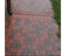 Тротуарна плитка Золотий Мандарин Креатив 60 мм на сірому цементі червоний