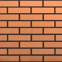 Лицевой кирпич СБК КЛПр 1NF М150 250х120х65 мм морковный Черкассы