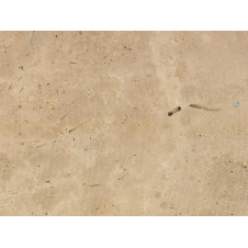 TRAVERTINE CLASSIC CC 20 мм сляб бежевый шлифованный