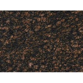 Гранитная плита TAN BROWN полировка 3 см черно-коричневый