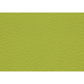 Спортивный линолеум LG Hausys Sport Leisure 4.0 Solid 4 мм 28,8 м2 green (LES6601-01)