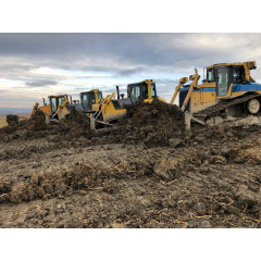 Оренда бульдозера CAT D6R Київ