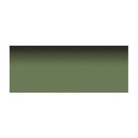 Гребенево-карнизна черепиця Aquaizol 250х1000 мм зелений