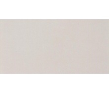 Підлогова плитка Lasselsberger Trend Light Grey rectified 298x598x10 мм (DAKSE653)