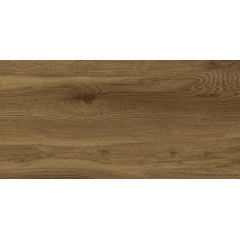 Керамічна плитка для підлоги Golden Tile Terragres Kronewald коричнева 307x607x8,5 мм (977940) Львів
