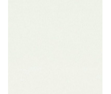 ДСП Kronospan 110 SM 16х1830х2750 мм біла гладка (19598)