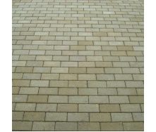 Тротуарна плитка Золотий Мандарин Цегла стандартна 200х100х40 мм на сірому цементі гірчичний