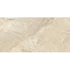 Керамогранітна плитка Stevol Earl beige 40х80 см (СТ48063Р)