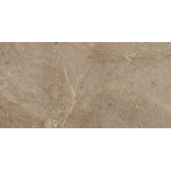 Керамограніт Stevol Sydney 60х120 см (6036) Миколаїв