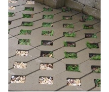Тротуарная плитка Золотой Мандарин Парковочная решетка 500х500х80 мм на сером цементе горчичный