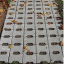Тротуарна плитка Золотий Мандарин Подвійне Т 200х170х70 мм сірий Київ