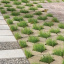 Тротуарная плитка Золотой Мандарин Парковочная решетка 500х500х80 мм серый Фастов